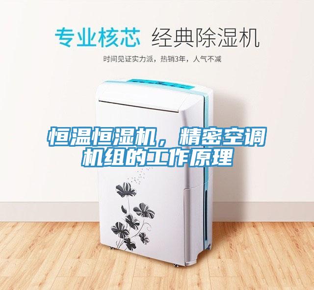 恒溫恒濕機(jī)，精密空調(diào)機(jī)組的工作原理