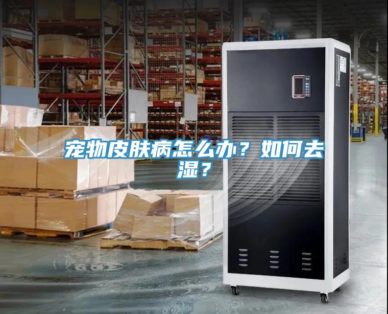寵物皮膚病怎么辦？如何去濕？