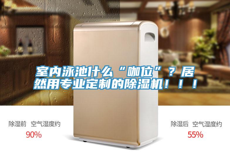 室內(nèi)泳池什么“咖位”？居然用專業(yè)定制的除濕機(jī)?。?！