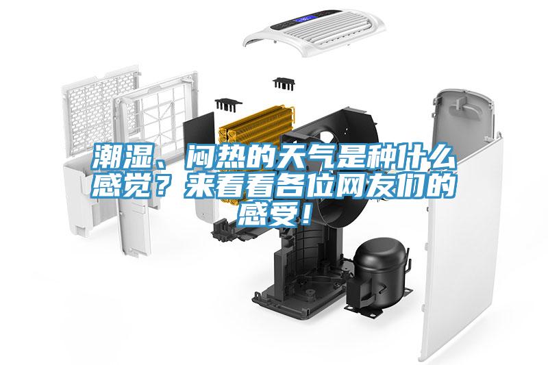 潮濕、悶熱的天氣是種什么感覺？來看看各位網(wǎng)友們的感受！