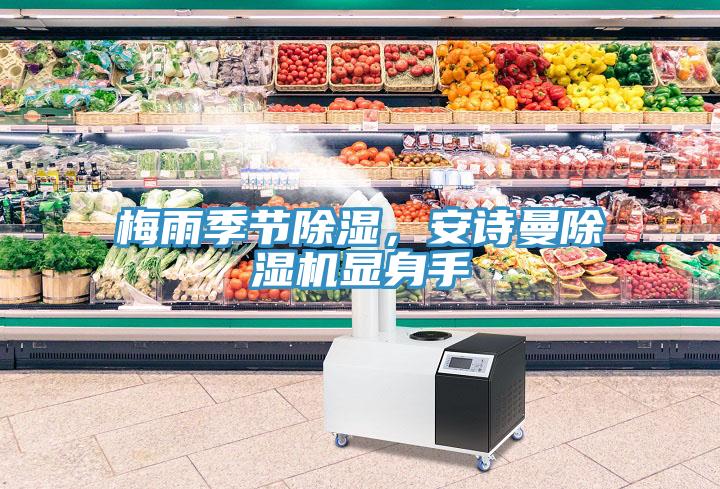 梅雨季節(jié)除濕，安詩曼除濕機(jī)顯身手