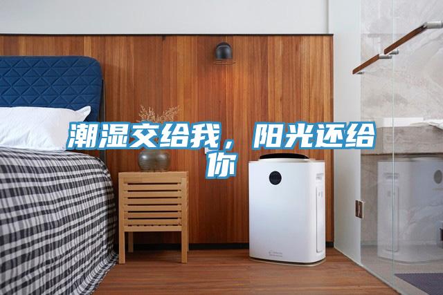 潮濕交給我，陽光還給你
