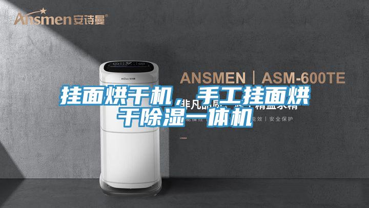 掛面烘干機(jī)，手工掛面烘干除濕一體機(jī)