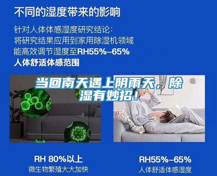 當回南天遇上陰雨天，除濕有妙招！