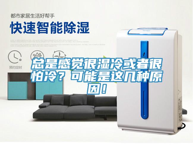 總是感覺很濕冷或者很怕冷？可能是這幾種原因！
