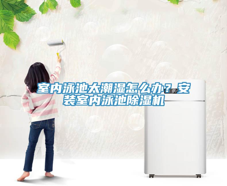 室內(nèi)泳池太潮濕怎么辦？安裝室內(nèi)泳池除濕機