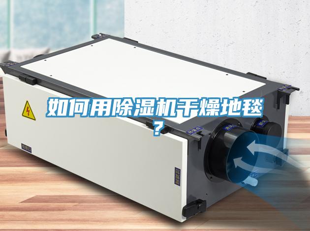 如何用除濕機干燥地毯？