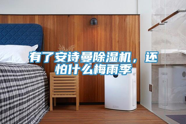 有了安詩曼除濕機，還怕什么梅雨季