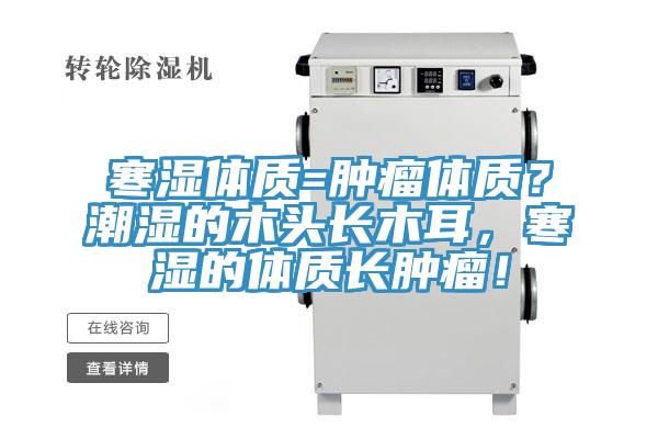 寒濕體質(zhì)=腫瘤體質(zhì)？潮濕的木頭長木耳，寒濕的體質(zhì)長腫瘤！