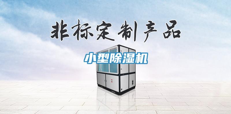 小型除濕機(jī)