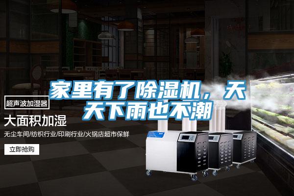 家里有了除濕機，天天下雨也不潮