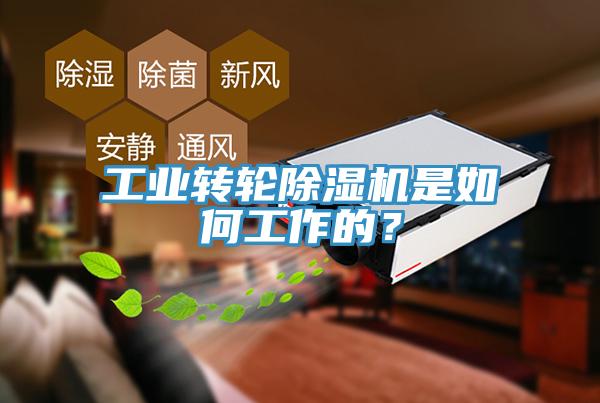 工業(yè)轉(zhuǎn)輪除濕機(jī)是如何工作的？