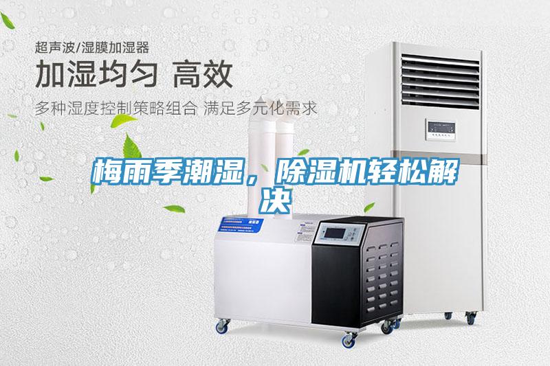 梅雨季潮濕，除濕機輕松解決