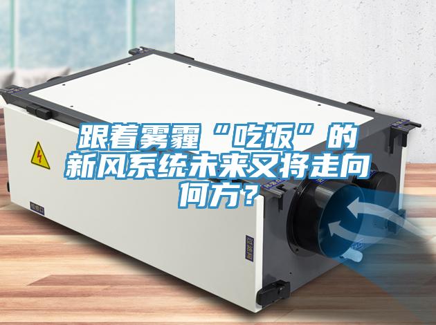 跟著霧霾“吃飯”的新風(fēng)系統(tǒng)未來(lái)又將走向何方？