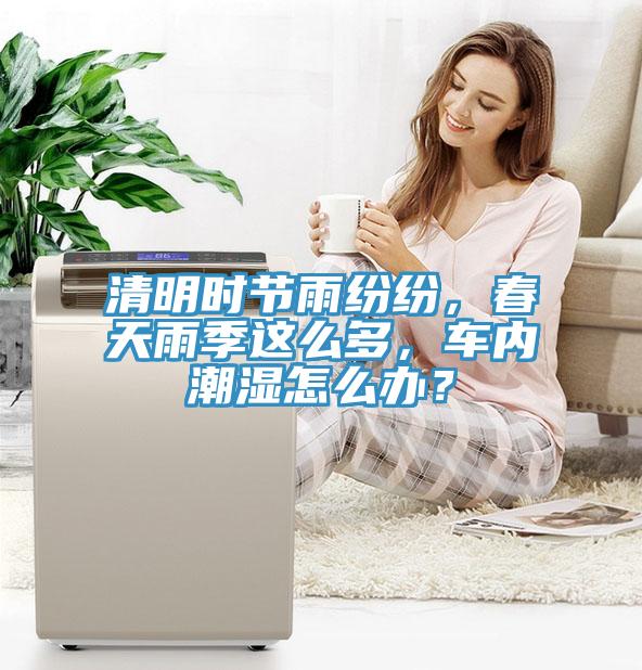 清明時(shí)節(jié)雨紛紛，春天雨季這么多，車內(nèi)潮濕怎么辦？