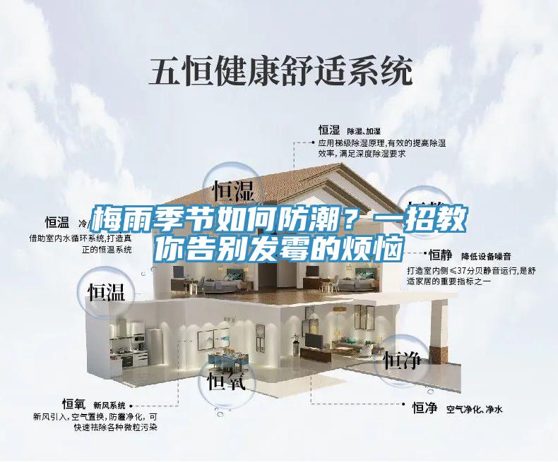 梅雨季節(jié)如何防潮？一招教你告別發(fā)霉的煩惱