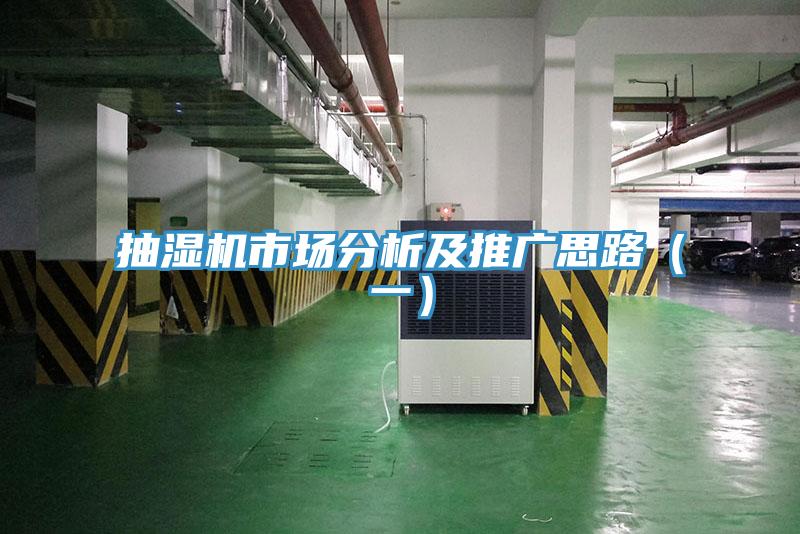 抽濕機(jī)市場分析及推廣思路（一）