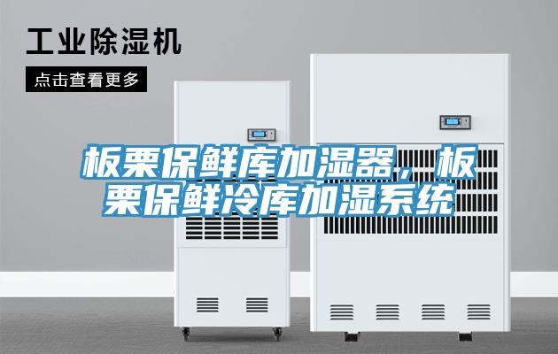 板栗保鮮庫加濕器，板栗保鮮冷庫加濕系統(tǒng)