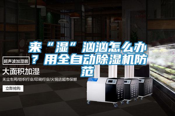 來“濕”洶洶怎么辦？用全自動除濕機(jī)防范