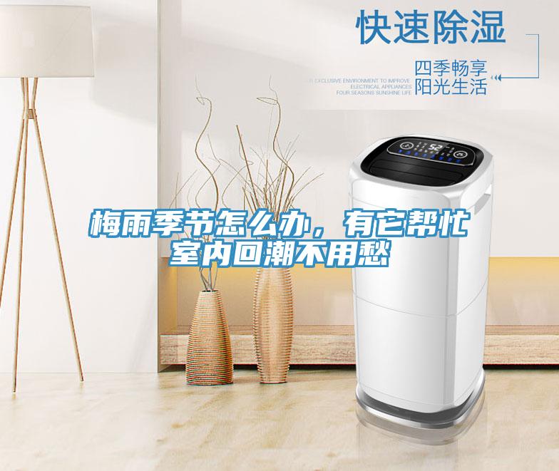 梅雨季節(jié)怎么辦，有它幫忙室內(nèi)回潮不用愁