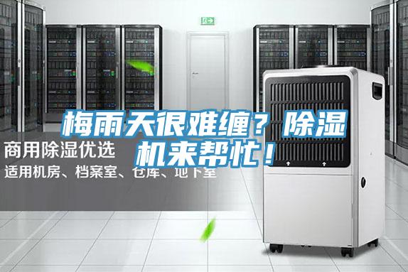 梅雨天很難纏？除濕機(jī)來幫忙！