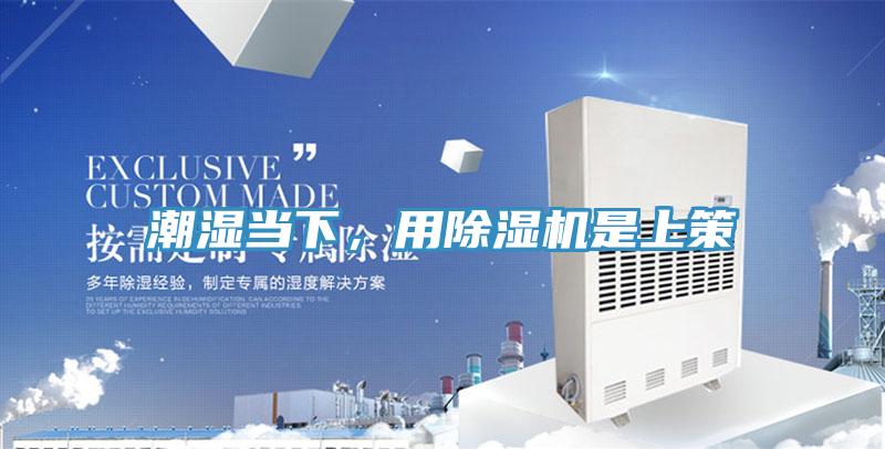 潮濕當(dāng)下，用除濕機(jī)是上策
