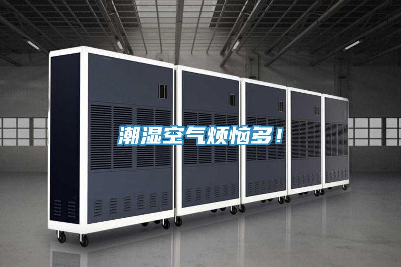 潮濕空氣煩惱多！