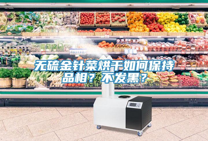 無硫金針菜烘干如何保持品相？不發(fā)黑？