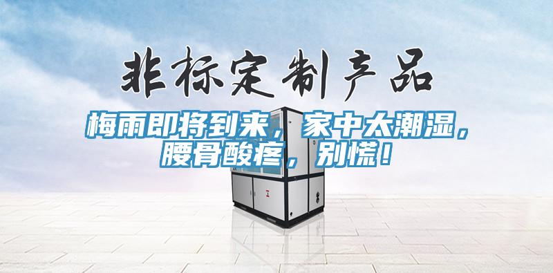 梅雨即將到來，家中太潮濕，腰骨酸疼，別慌！