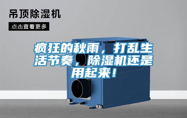 瘋狂的秋雨，打亂生活節(jié)奏，除濕機(jī)還是用起來(lái)！