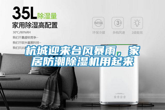 杭城迎來臺風暴雨，家居防潮除濕機用起來