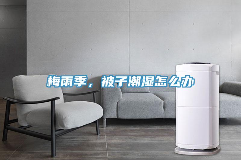 梅雨季，被子潮濕怎么辦