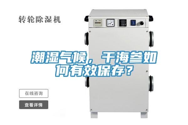 潮濕氣候，干海參如何有效保存？
