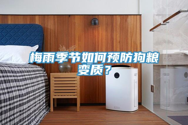 梅雨季節(jié)如何預(yù)防狗糧變質(zhì)？