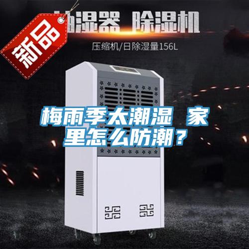 梅雨季太潮濕 家里怎么防潮？