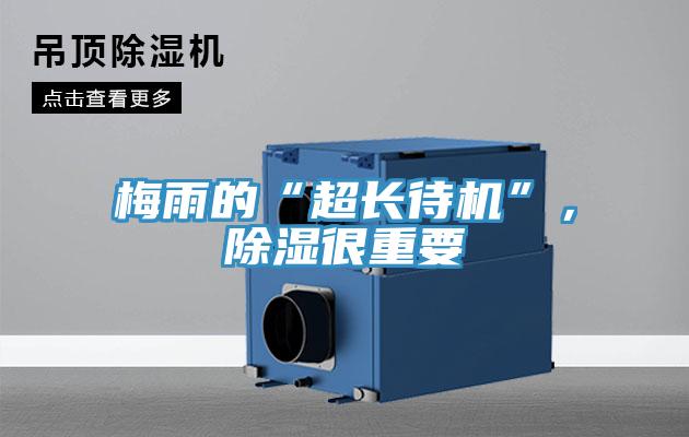 梅雨的“超長待機(jī)”，除濕很重要