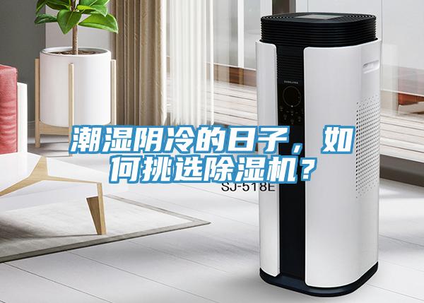 潮濕陰冷的日子，如何挑選除濕機(jī)？