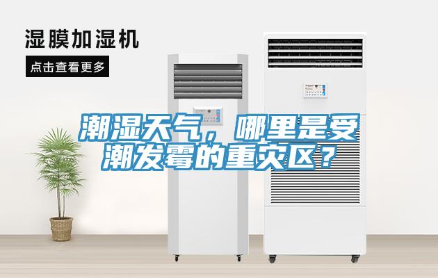 潮濕天氣，哪里是受潮發(fā)霉的重災(zāi)區(qū)？