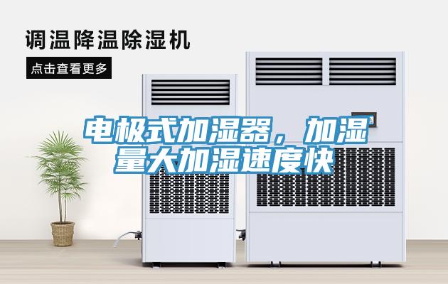電極式加濕器，加濕量大加濕速度快