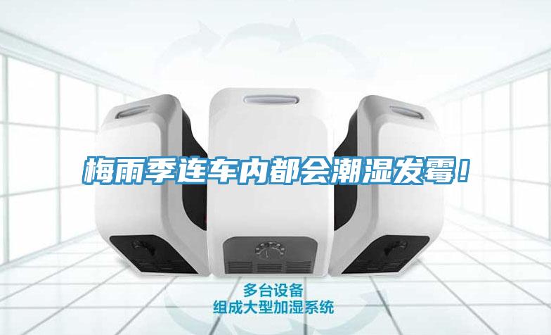 梅雨季連車內(nèi)都會潮濕發(fā)霉！