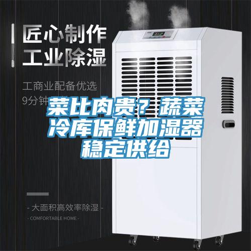 菜比肉貴？蔬菜冷庫(kù)保鮮加濕器穩(wěn)定供給