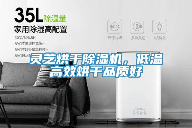 靈芝烘干除濕機，低溫高效烘干品質(zhì)好