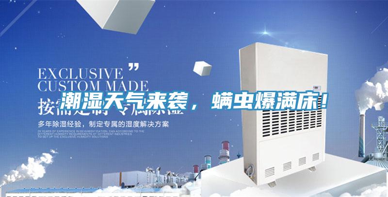 潮濕天氣來襲，螨蟲爆滿床！