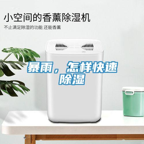 暴雨，怎樣快速除濕