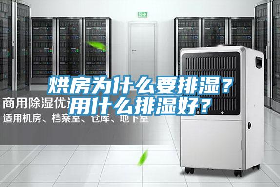 烘房為什么要排濕？用什么排濕好？