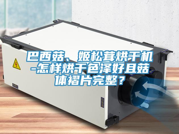 巴西菇、姬松茸烘干機(jī)-怎樣烘干色澤好且菇體褶片完整？