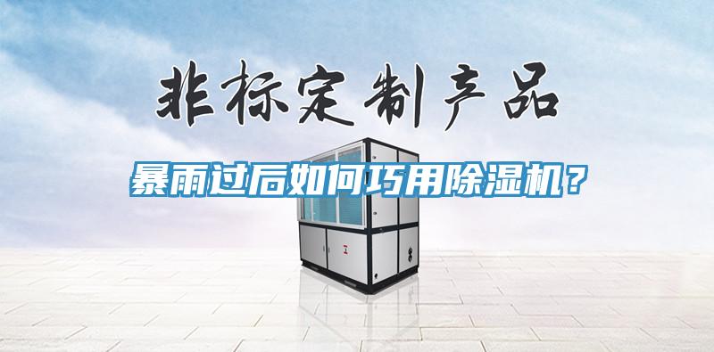暴雨過后如何巧用除濕機(jī)？