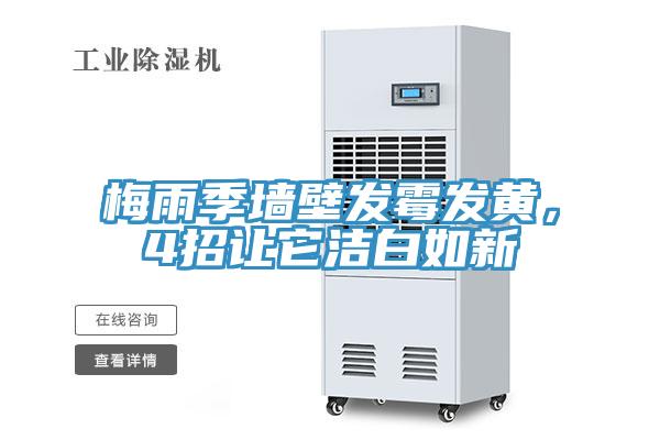 梅雨季墻壁發(fā)霉發(fā)黃，4招讓它潔白如新