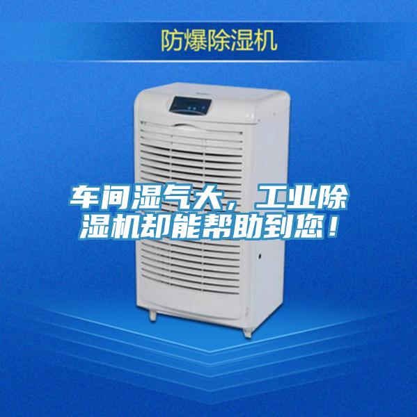 車間濕氣大，工業(yè)除濕機(jī)卻能幫助到您！