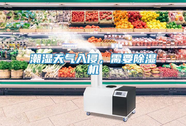 潮濕天氣入侵，需要除濕機(jī)